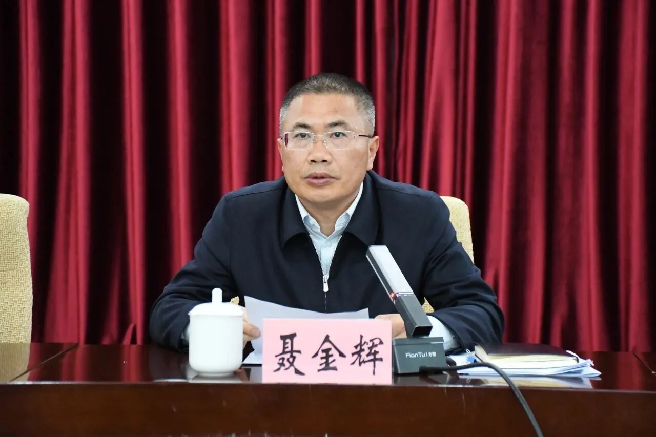 2026年全市政府系统人大代表建议政协提案办理工作视频会议强调：履职尽责提质效 实干 ... ...