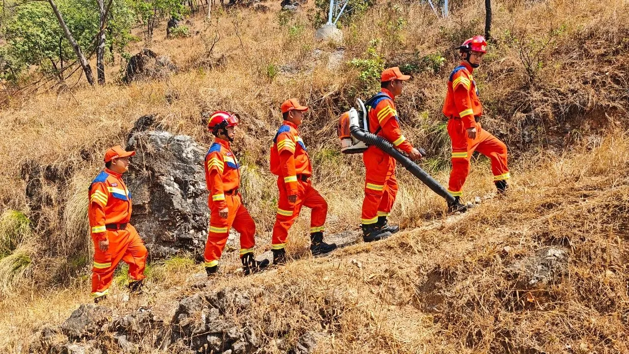 华坪新庄乡：多点发力织密森林防火“防护网” 守好绿水青山