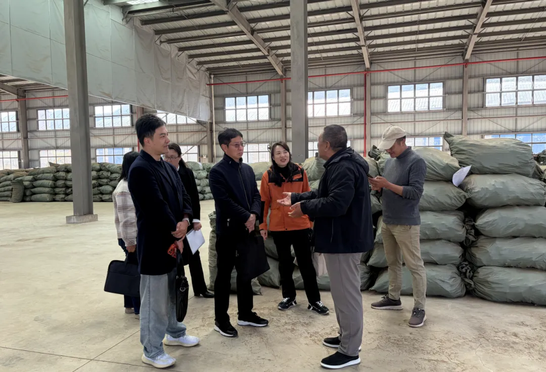 破千亿、强赋能！丽江以金融之力护航经济发展