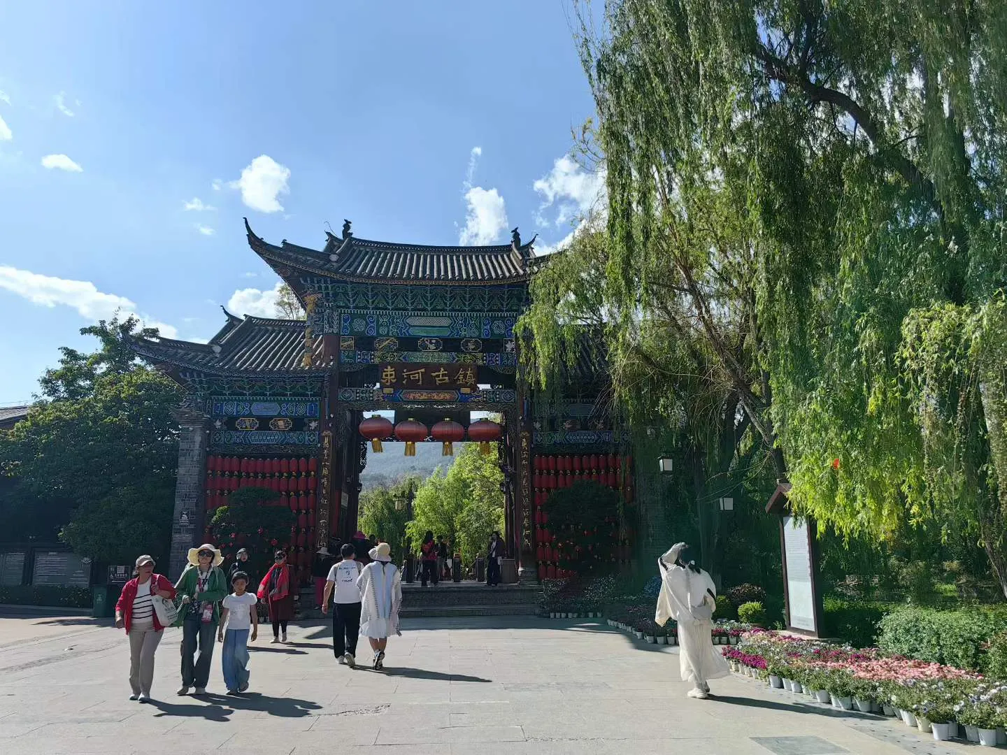 丽江束河青龙河：一河碧水穿镇过 满目新绿入画来