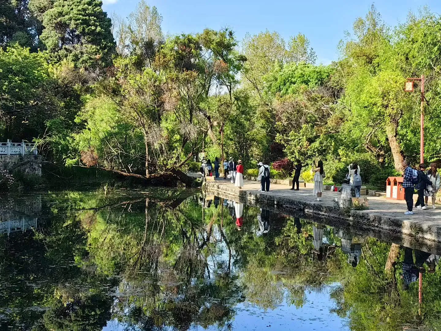 丽江束河青龙河：一河碧水穿镇过 满目新绿入画来