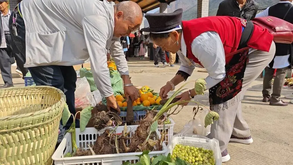 丽江金江乡“三月三”火热举行！白族歌舞+农特展销，热闹非凡