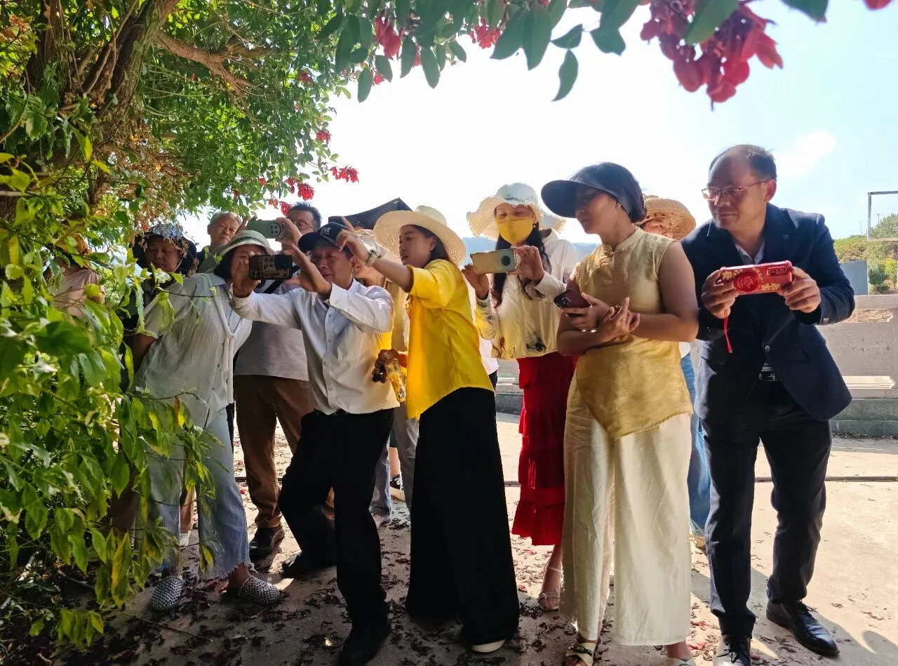 免费学技能！华坪百余名群众解锁短视频摄影“新技能”