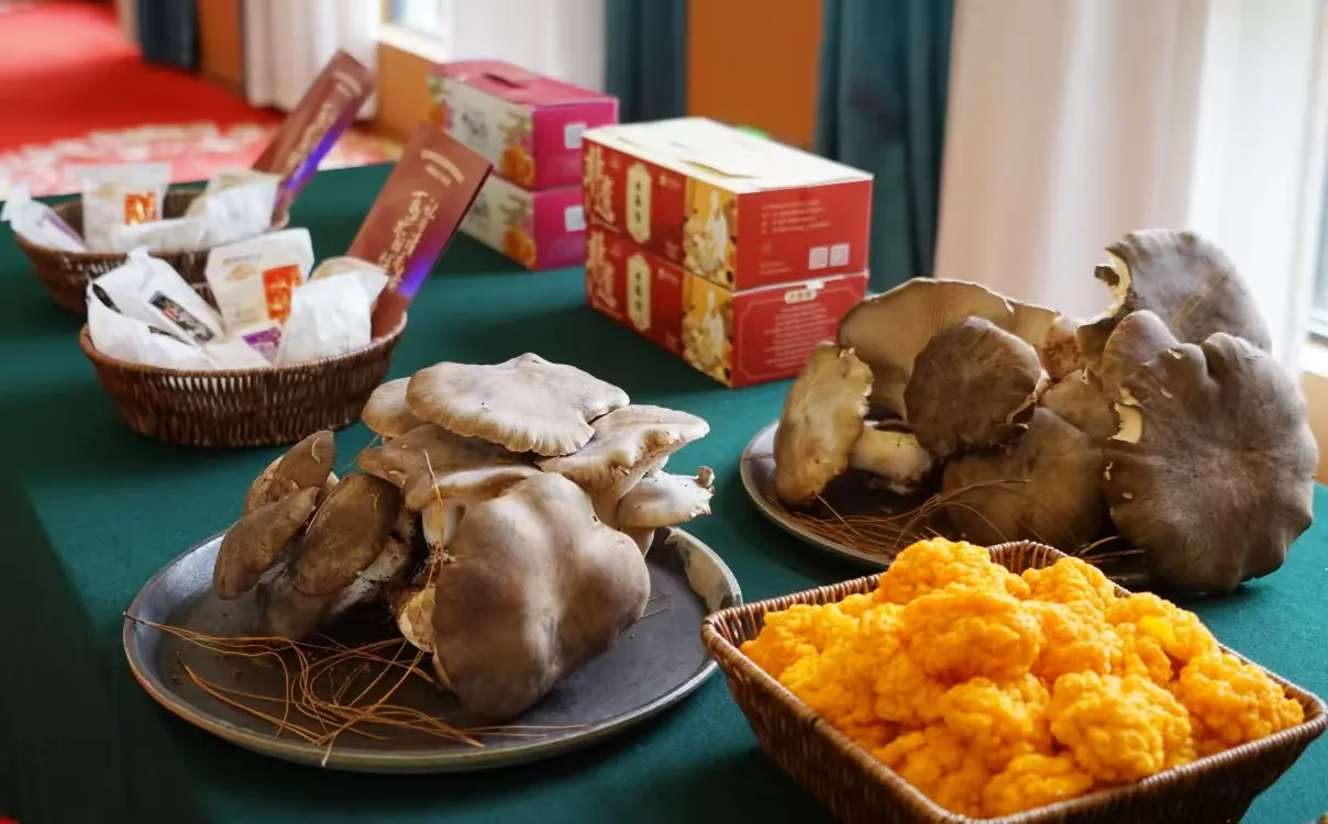 五一打卡永胜！特色商品展+美食文化节15天狂欢解锁边屯新魅力