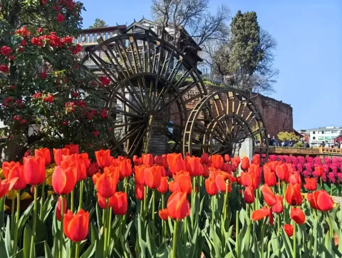 一季度丽江GDP176.77亿元，同比增长2.7%