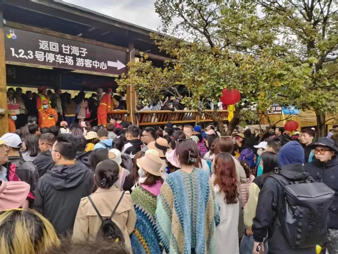 不只是雪山美景！丽江这群人，用 30 面锦旗圈粉无数游客