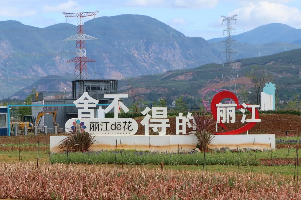 五一玩转四季花开景区！花墙、湿地、小火车，丽江浪漫已就位