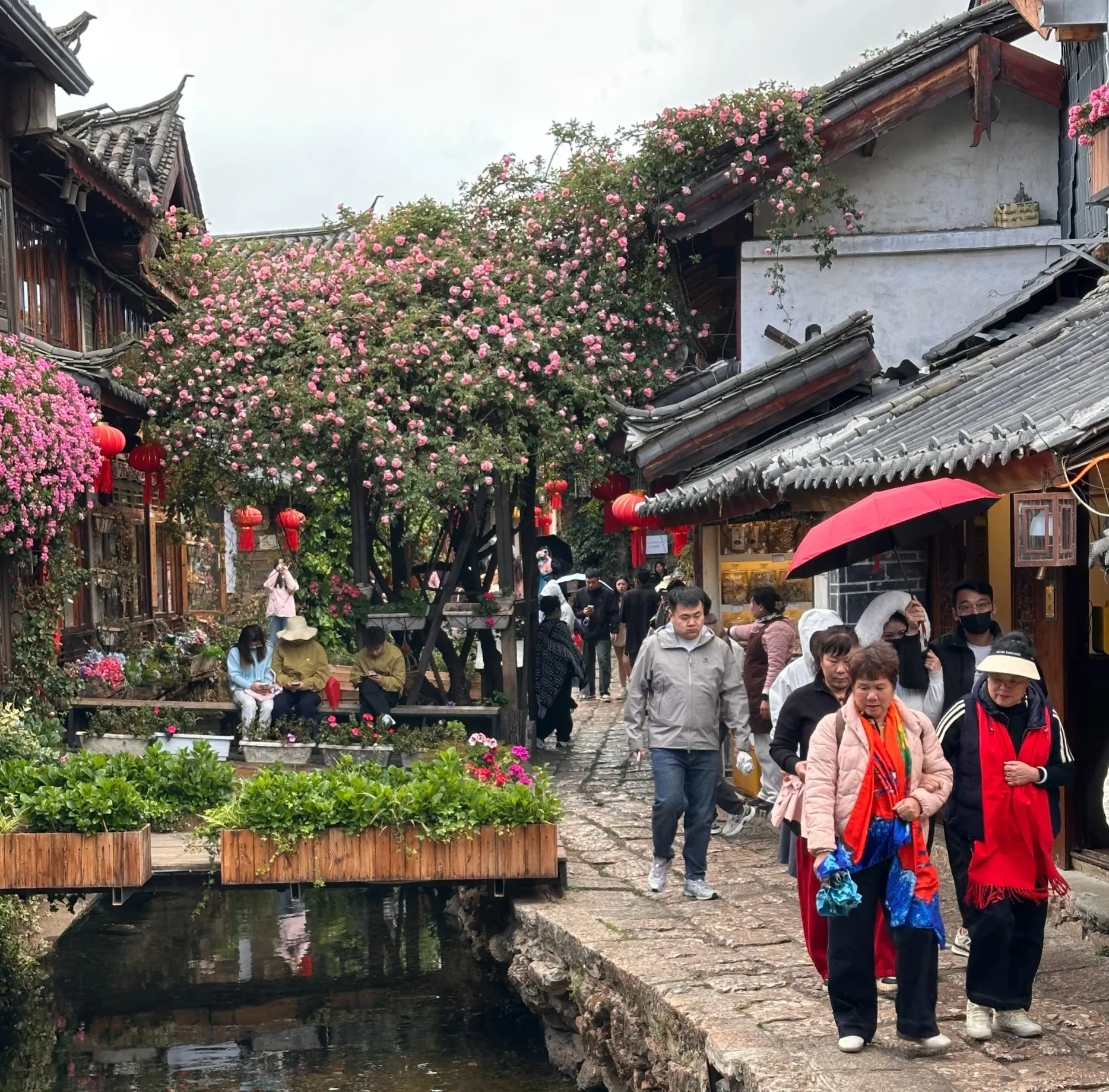 五一“打卡”丽江古城：阴天也挡不住热情，中外游客共赴诗和远方