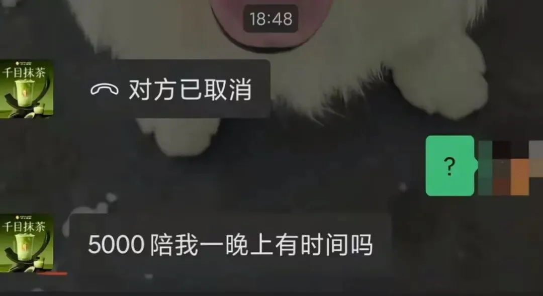 163909q3gz49c5cce9yk5p.webp