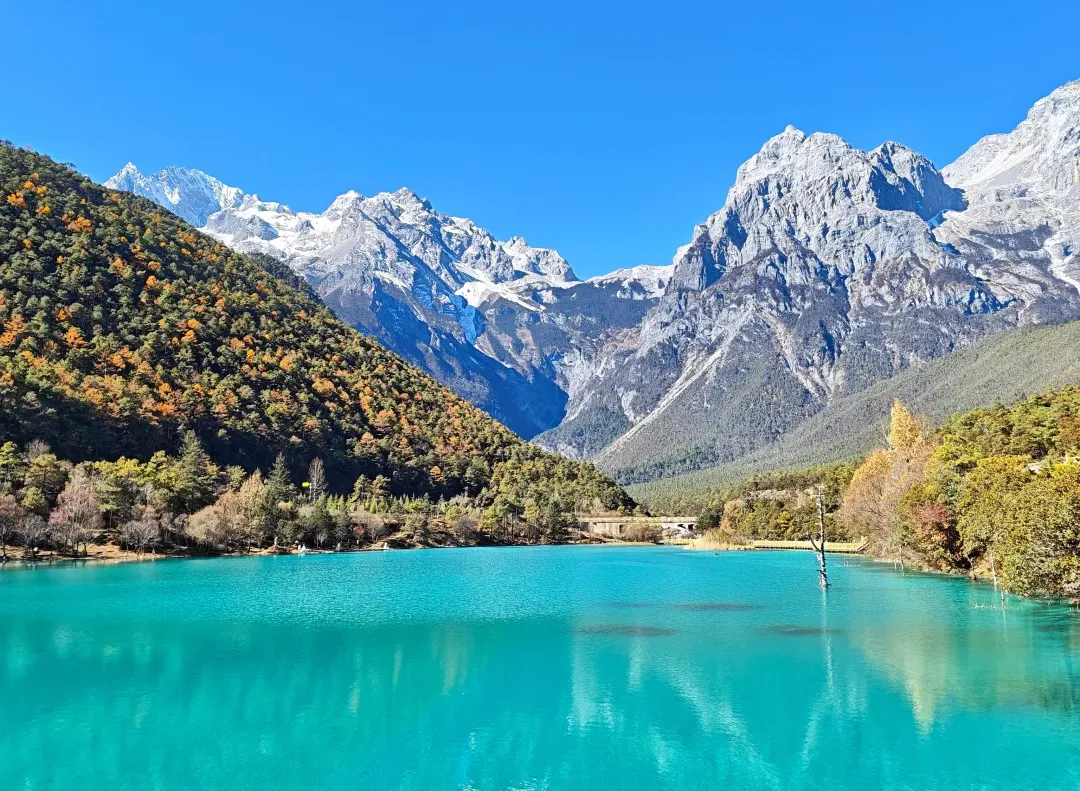 150013mdduujz9r1rd9cc4.webp